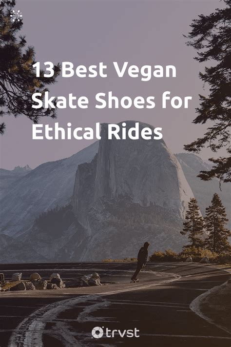 12 Best Vegan Skate Shoes for Ethical Cruelty